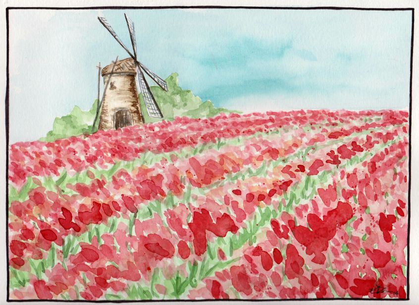 Aquarelle tulipes et moulin
