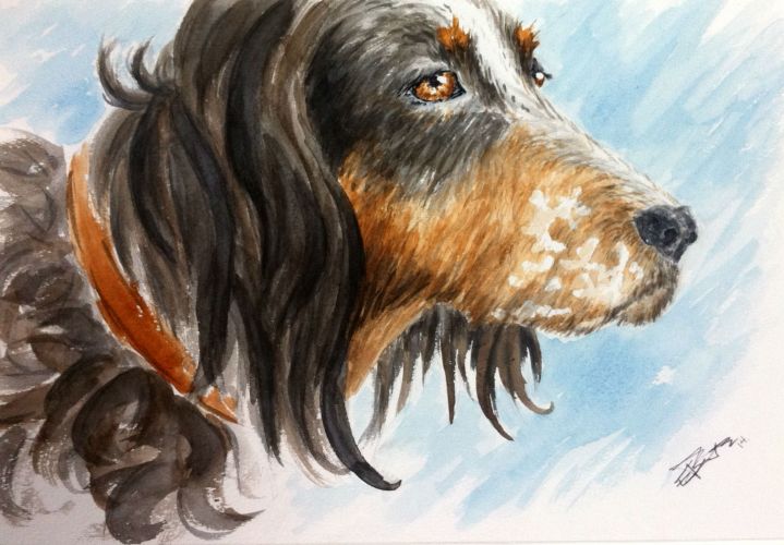 La Fanette aquarelle