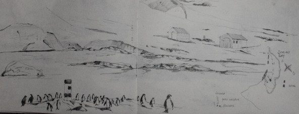 Dessin cahier Didier Antarctique-15