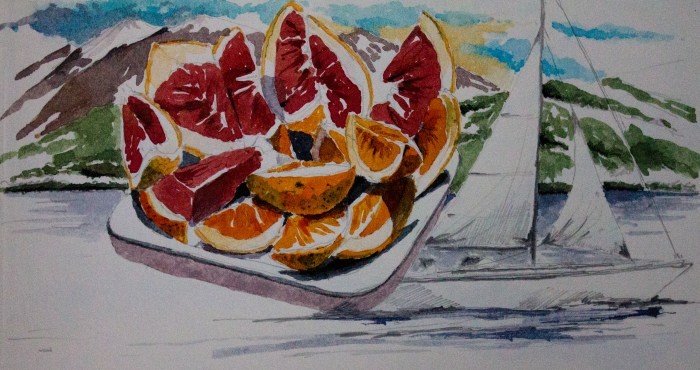 Dessin cahier Didier Antarctique-3