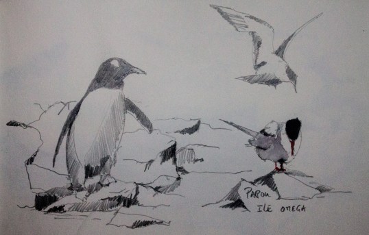 Dessin cahier Didier Antarctique-7