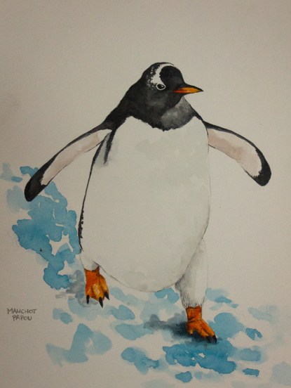 L'Antarctique sur Venus MQ-209