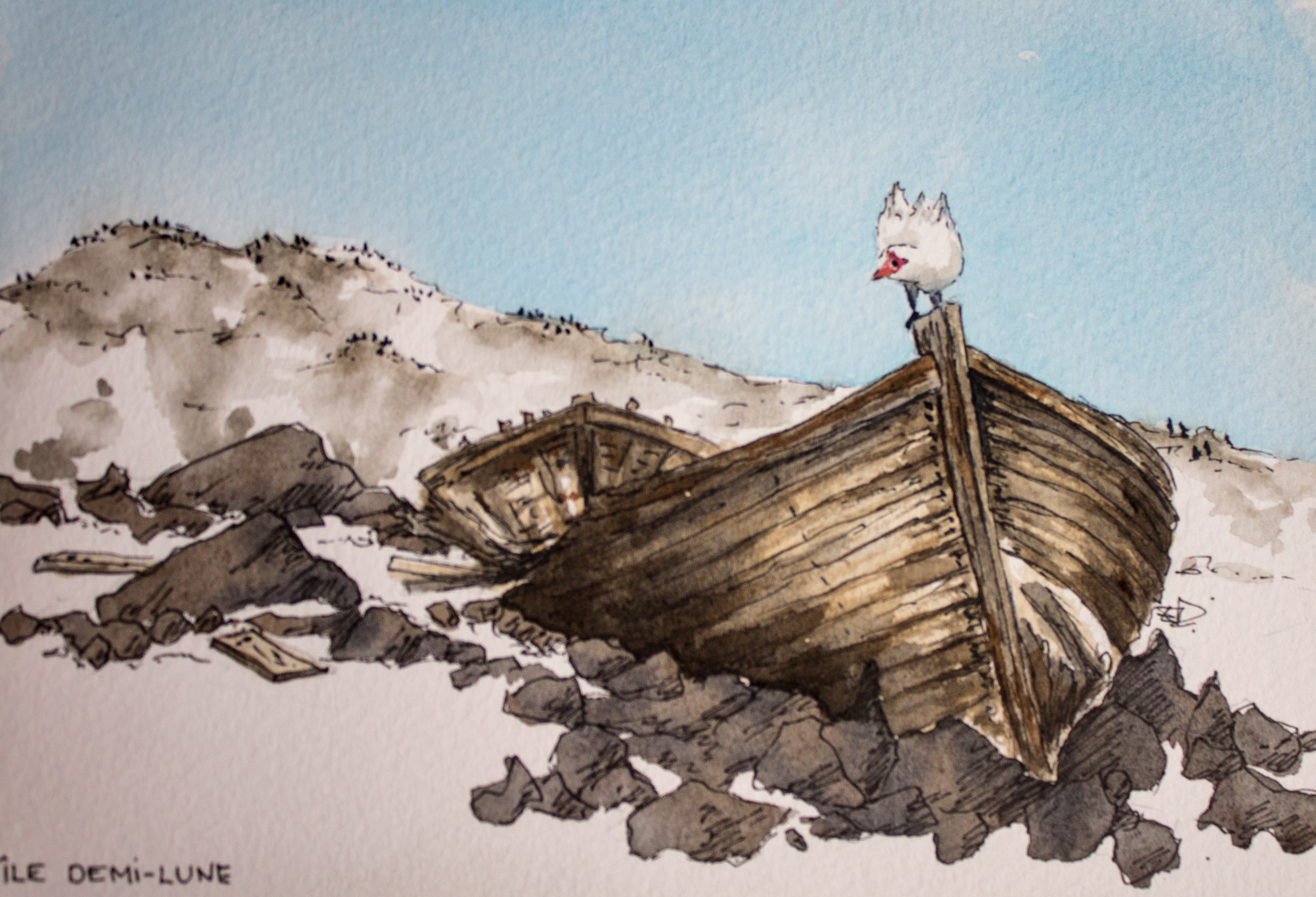 aquarelle-antarctique-dec-2016